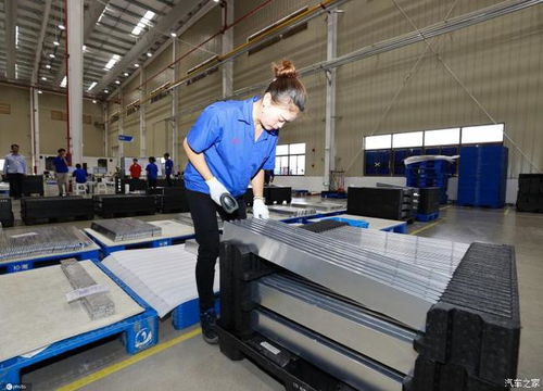 重庆力促新能源车产业发展与理想工厂，家禽销售市场迎来新机遇