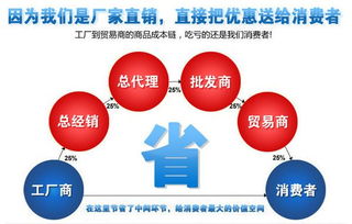 巴中宏德全自动家禽船式浸烫池 引领家禽屠宰高效与品质新标准